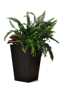 Горщик для квітів пластиковий Keter Rattan Planter M 55.4 L 228974 графіт