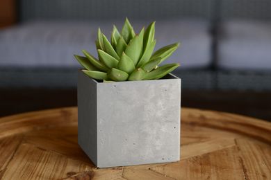 Горшок для цветов пластиковый Keter Beton Cube 13 см 248612 серый
