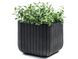 Горщик для квітів пластиковий Keter Cube Planter L 230225 графіт